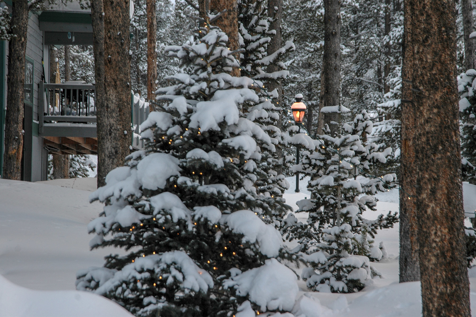 Winter in Park Forest Estates, Breckenridge Coloreado