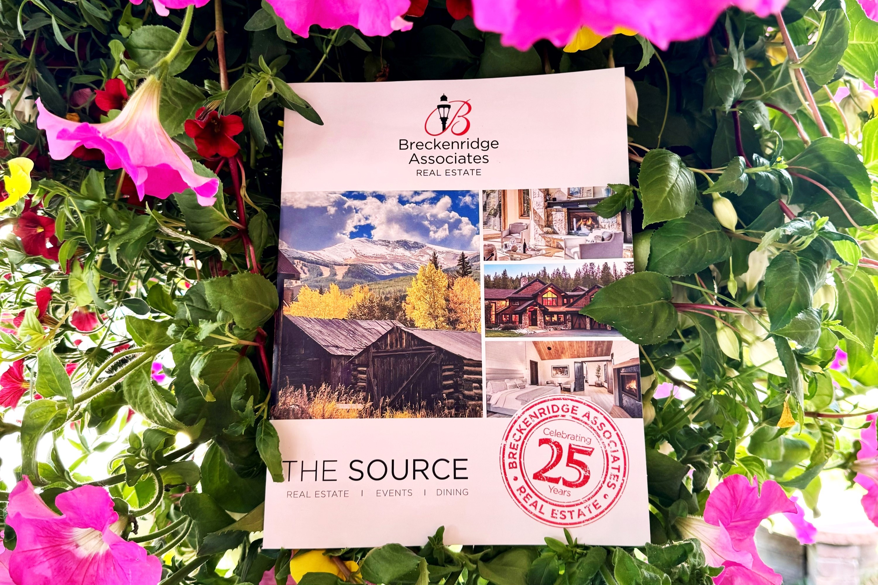 The Source Magazine by Breckenridge Associates Real Estate